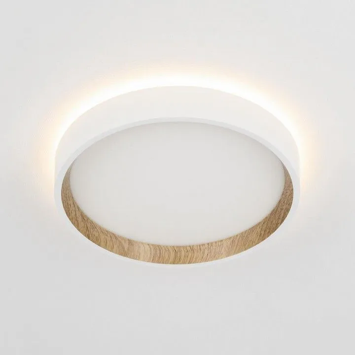 Накладной светильник Citilux Etalon CL750180
