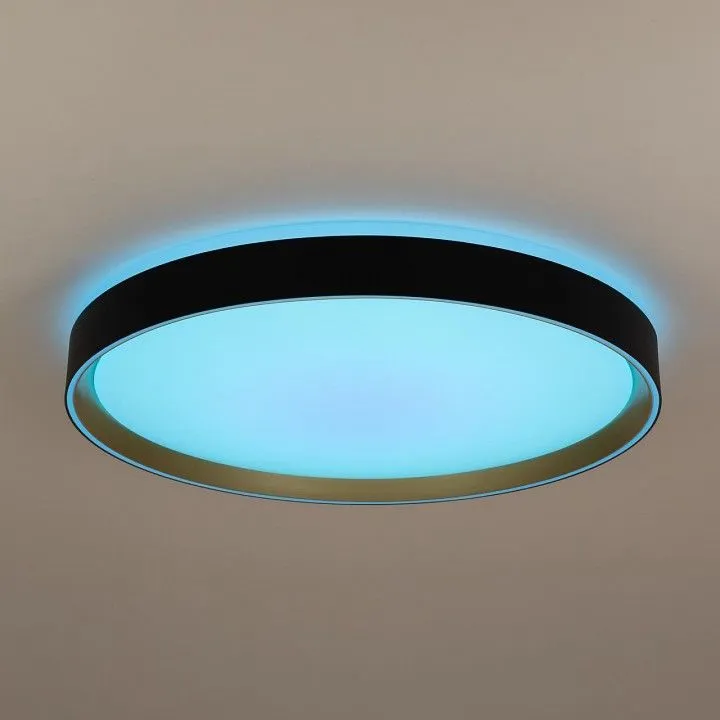 Накладной светильник Citilux BOSS CL751451G