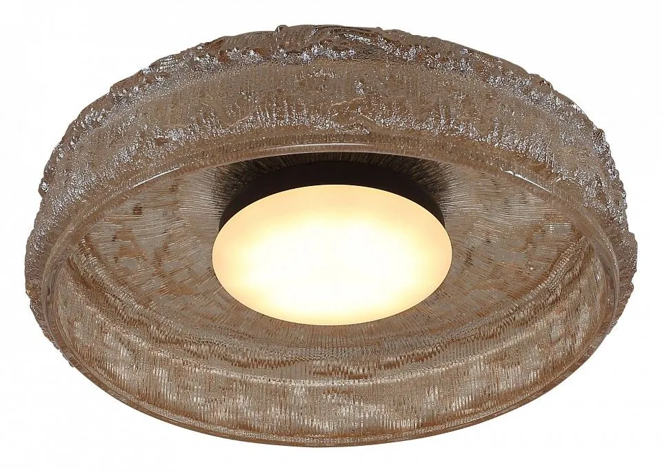 Накладной светильник ST-Luce ANTIKE SL6143.422.01