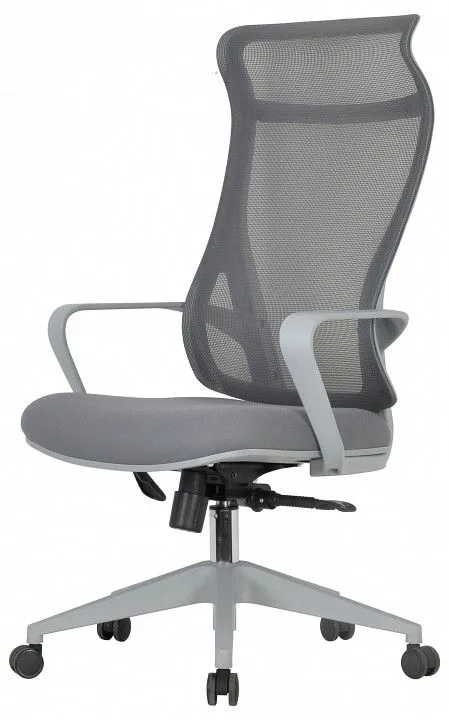 Кресло компьютерное Chairman Chairman CH577 00-07146057, 7146057 Кресло компьютерное Chairman Chairman CH577 00-07146057, 7146057