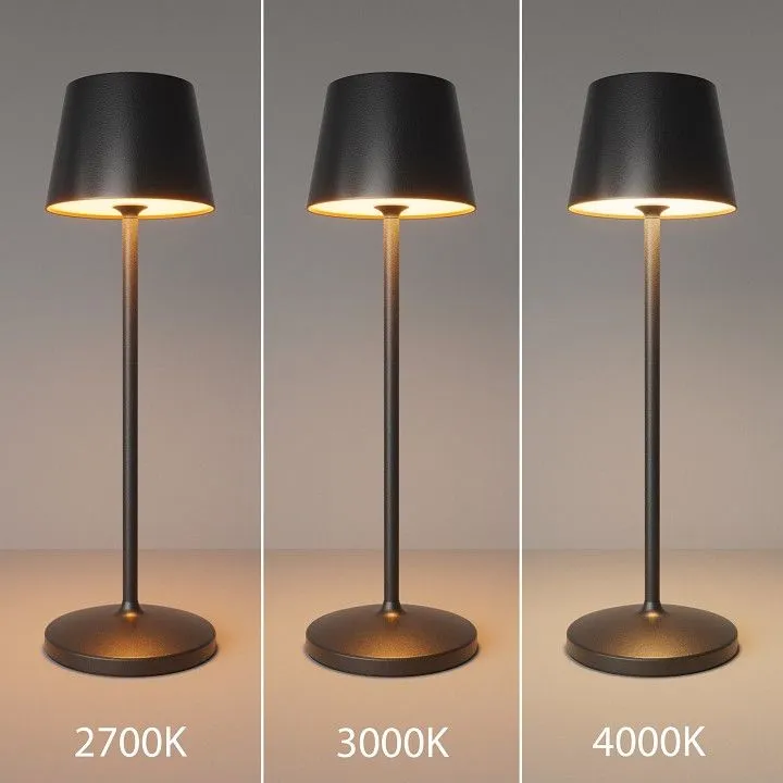 Настольная лампа декоративная Maytoni Уголок MOD494RL-L1BK