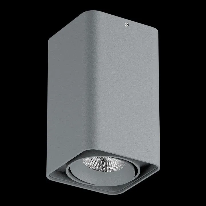 Накладной светильник Lightstar Monocco 052139
