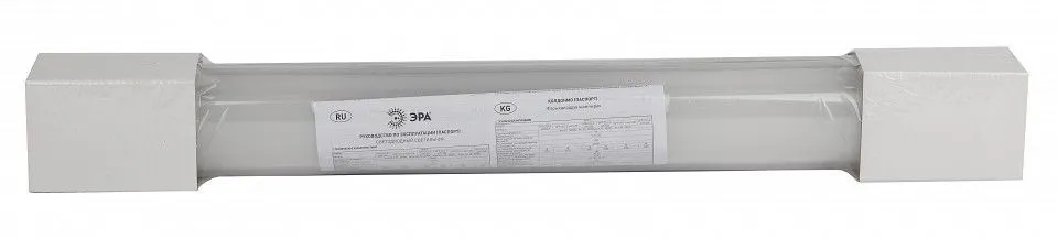 Накладной светильник Эра  SPP-201-0-65K-018