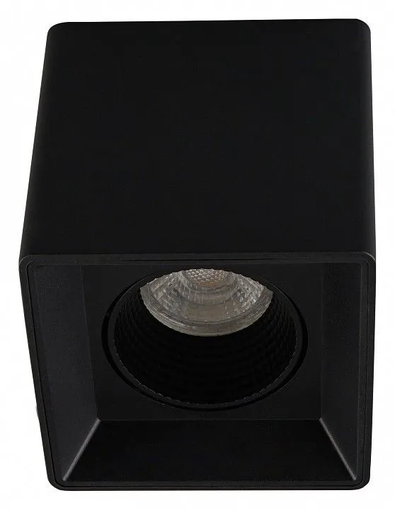 Накладной светильник Denkirs DK3020BВ DK3080-BK Накладной светильник Denkirs DK3020BВ DK3080-BK