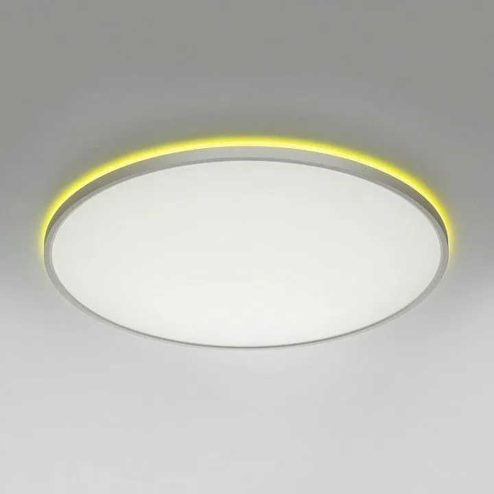 Накладной светильник Citilux NORMA CL749600