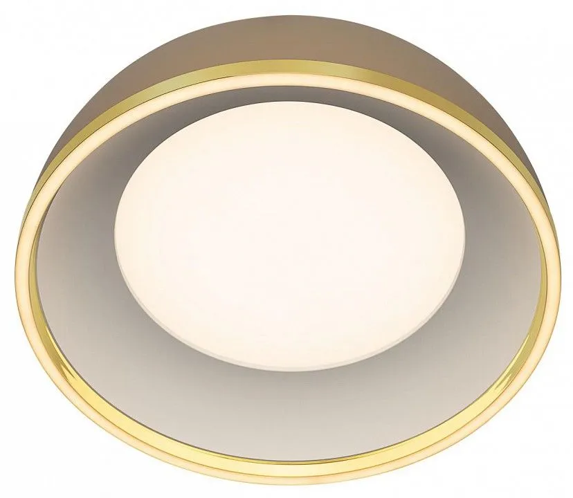 Накладной светильник Citilux FLOOM CL736152