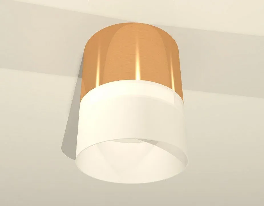 Накладной светильник Ambrella Light XS XS8121011
