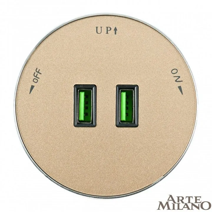Розетка 2xUSB на треке Arte Milano Am-track-sockets 380011TS/USBx2 Gold