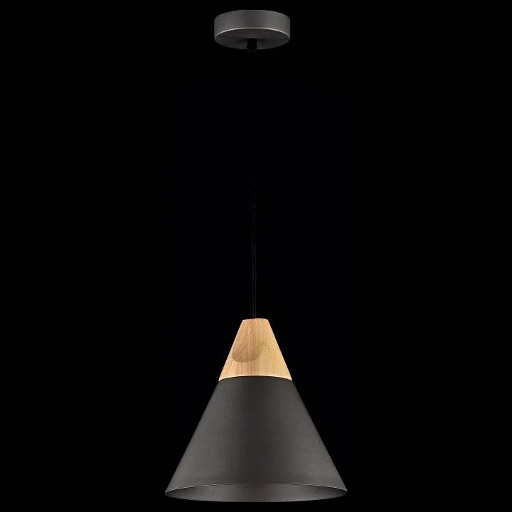 Подвесной светильник Maytoni Биконес P359-PL-220-C