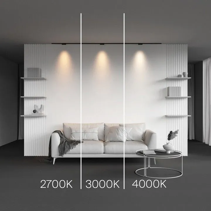 Накладной светильник Maytoni Technical Точки TR193-1-5W4K-M-B