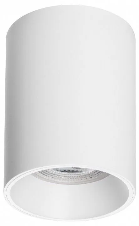 Накладной светильник Lightstar Rullo 213436