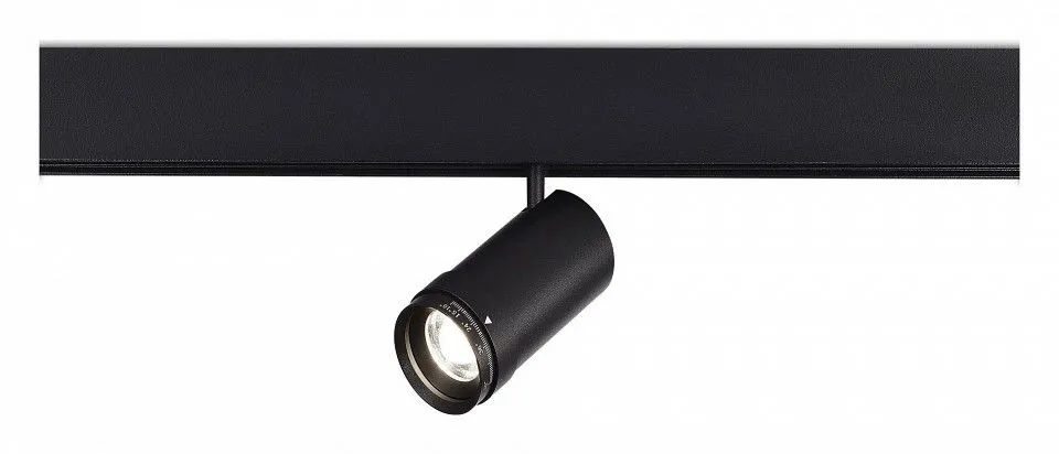 Светильник на штанге ST-Luce SKYLINE 48 ST357.446.12