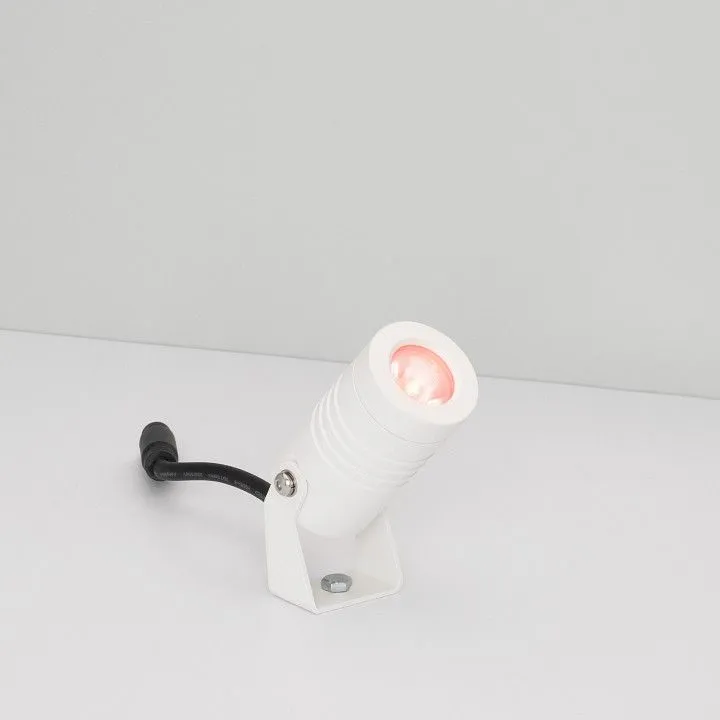 Настенно-потолочный прожектор Arlight RAY 053629