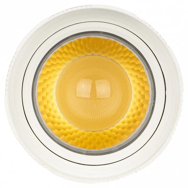 Светильник на штанге Эра  TR59 - 2040 WH