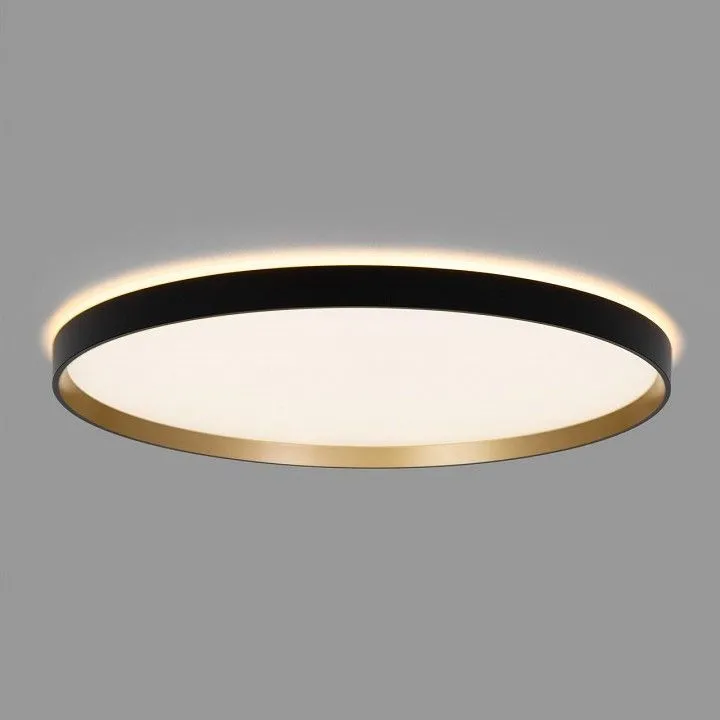 Накладной светильник Citilux ETALON CL750501R