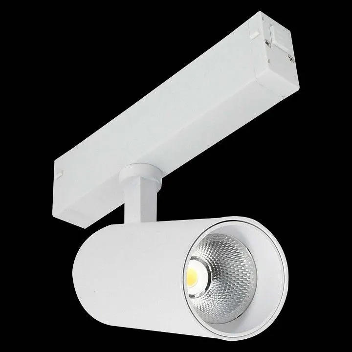 Светильник на штанге ST-Luce SKYLINE 220 ST660.596.10H