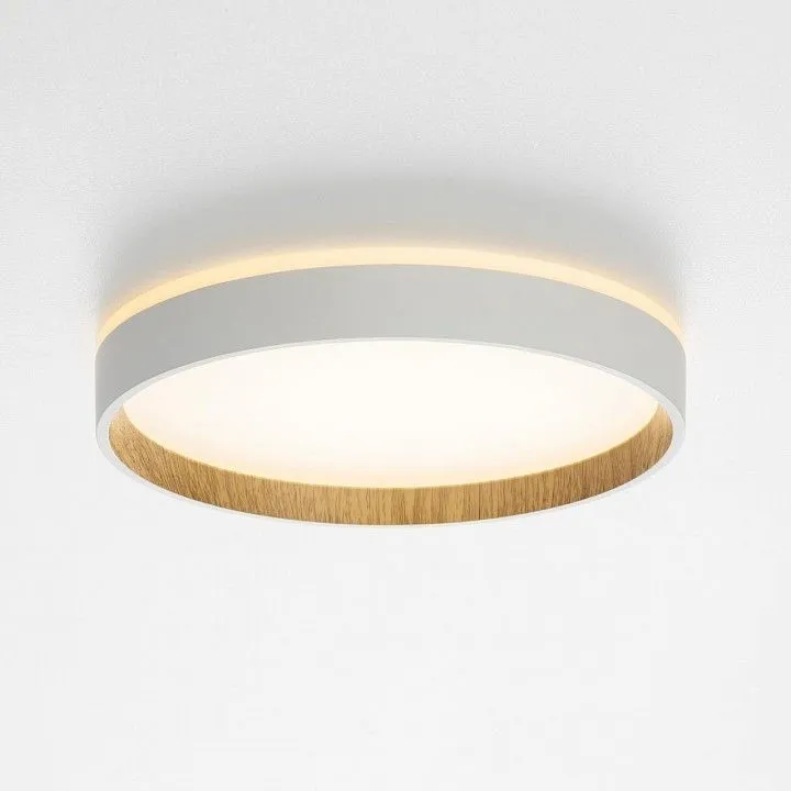Накладной светильник Citilux Etalon CL750240