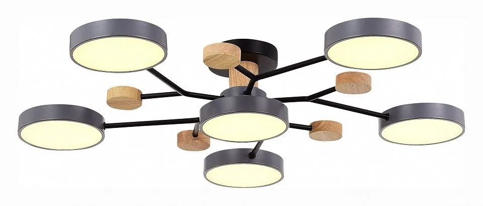 Потолочная люстра EVOLUCE Faema SLE6006-702-06