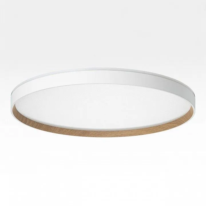 Накладной светильник Citilux ETALON CL750500R