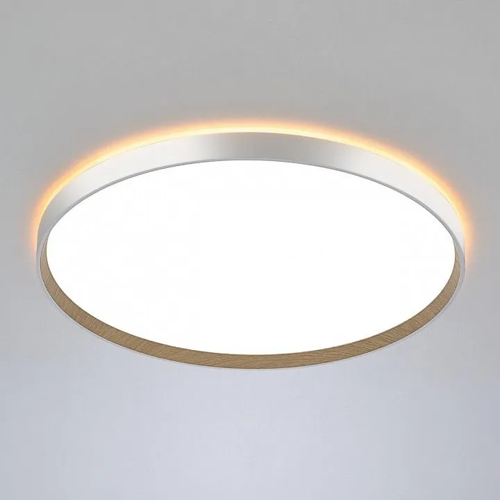 Накладной светильник Citilux ETALON CL750500R