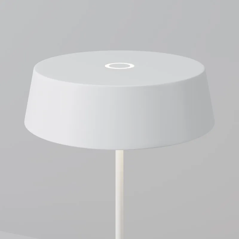 Наземный низкий светильник Maytoni Outdoor Porto O540TL-L2WCCT