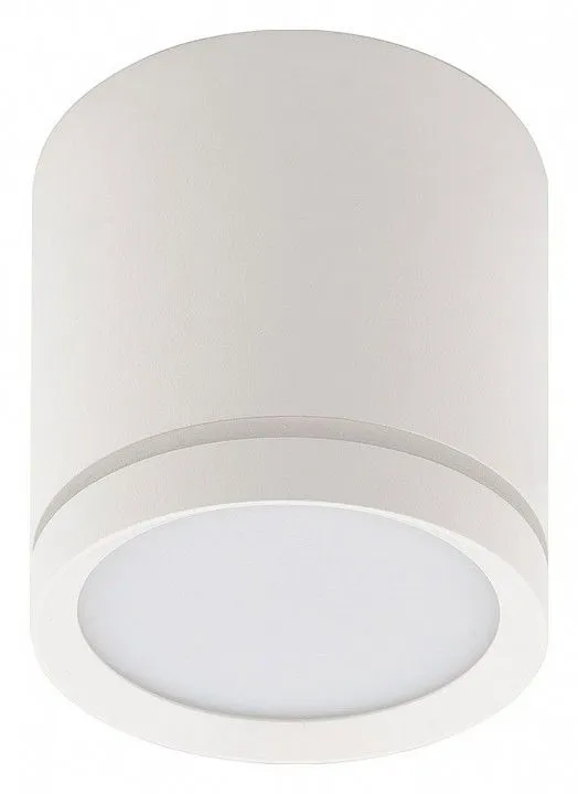 Накладной светильник Denkirs DK4016 DK4013-WH Накладной светильник Denkirs DK4016 DK4013-WH