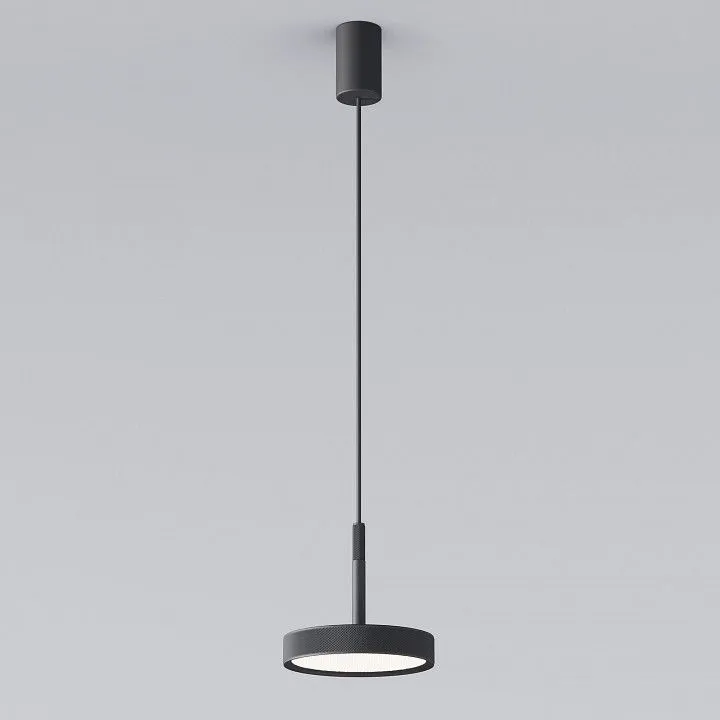Подвесной светильник Elektrostandard Plate a065411