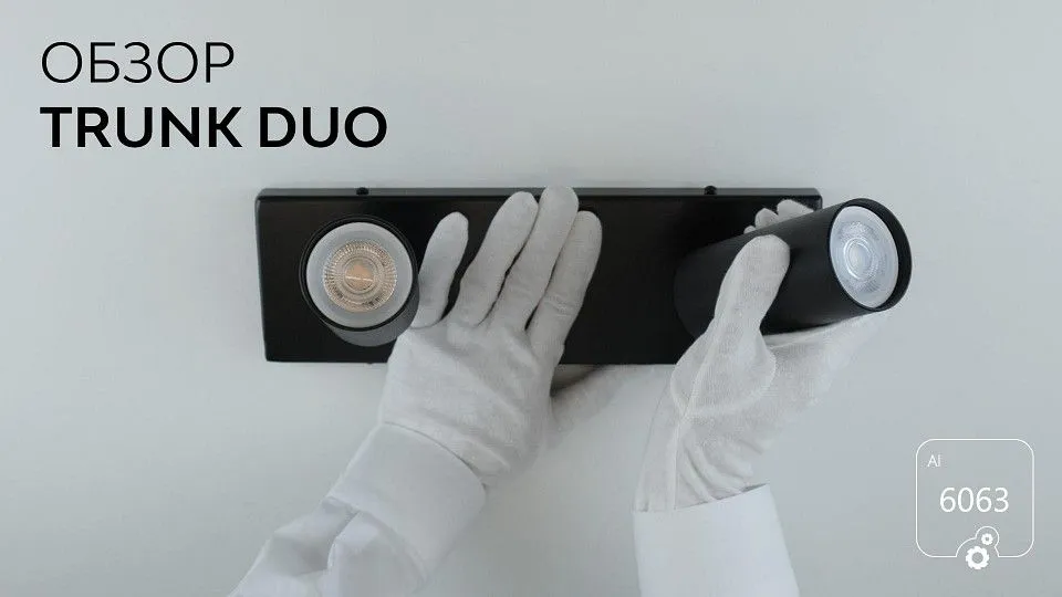 Спот 6063 Trunk Duo 1030801
