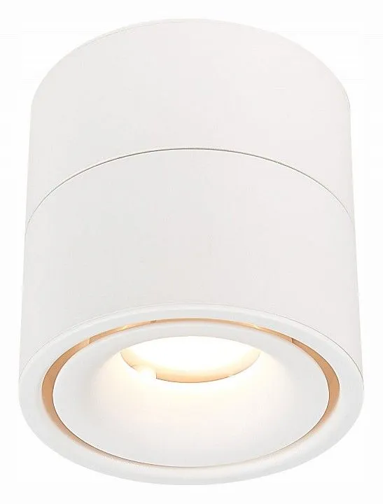 Светильник на штанге ST-Luce ST652 ST652.542.12