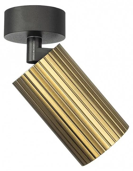 Накладной светильник Citilux AXEL CL512213R