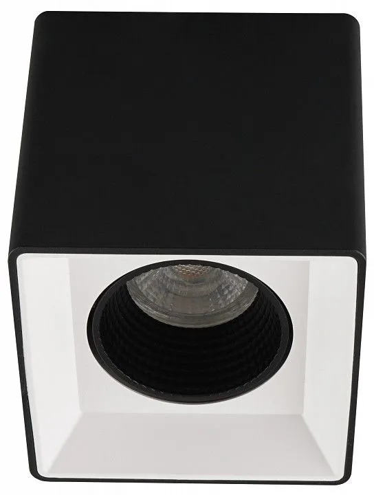 Накладной светильник Denkirs DK3030 DK3080-BW+BK Накладной светильник Denkirs DK3030 DK3080-BW+BK