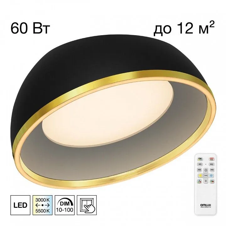 Накладной светильник Citilux FLOOM CL736151