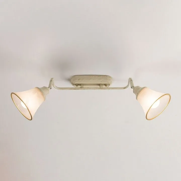 Спот Citilux Прованс CL511524