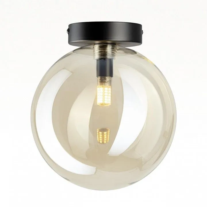 Накладной светильник Citilux ORTON CL202512