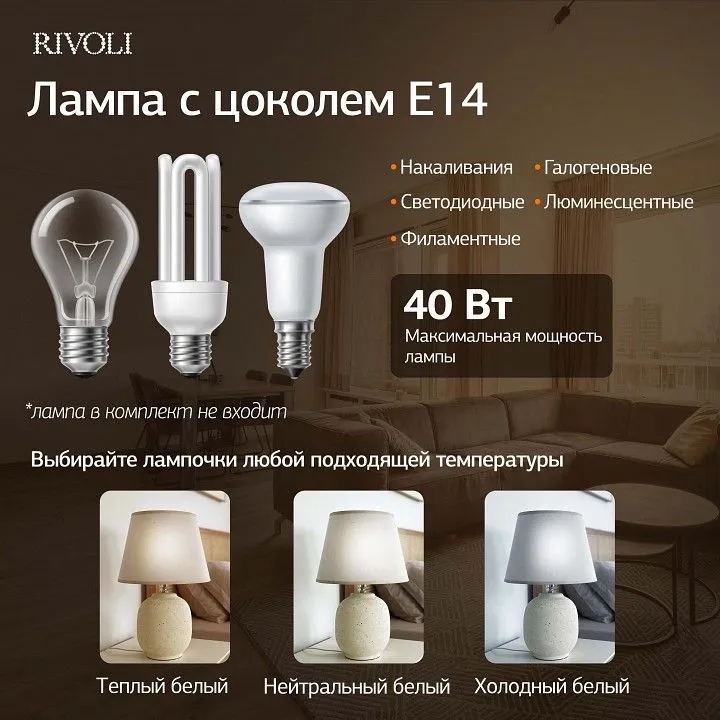 Настольная лампа декоративная Rivoli Naomi 7551-501