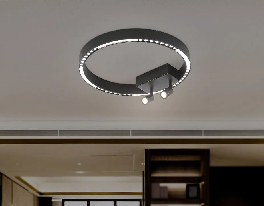Накладной светильник Ambrella Light FL FL5806