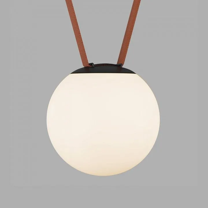 Накладной светильник Denkirs BELTY ORB DK5553-BK Накладной светильник Denkirs BELTY ORB DK5553-BK