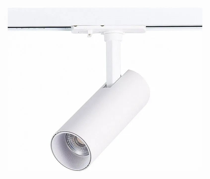 Светильник на штанге ST-Luce Mono ST350.546.10.36