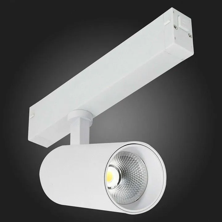 Светильник на штанге ST-Luce ST660 ST660.596.20