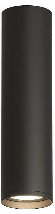 Накладной светильник Denkirs DK2000 DK2052-BK Накладной светильник Denkirs DK2000 DK2052-BK