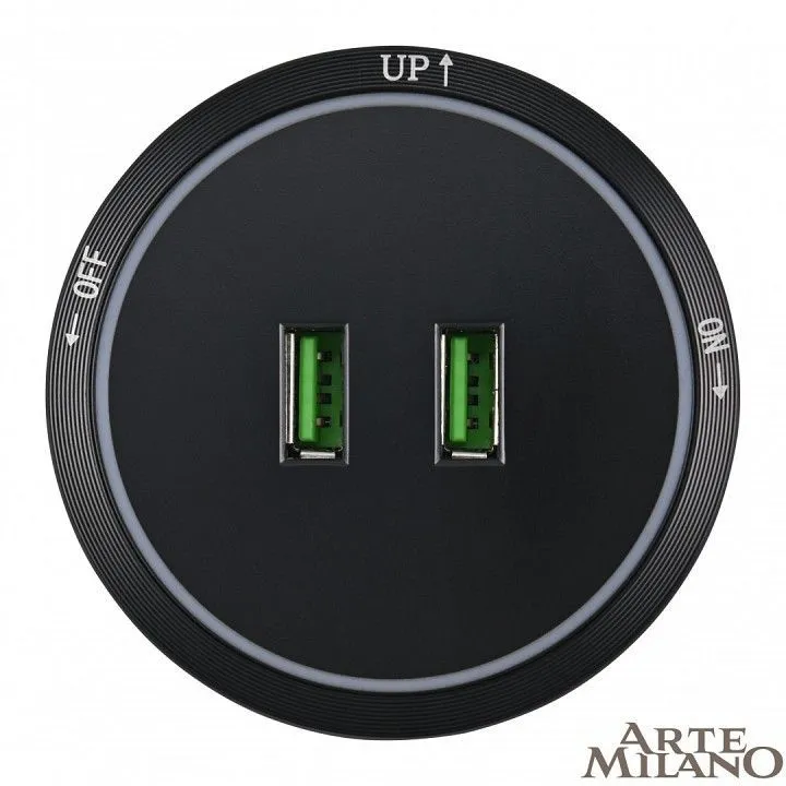 Розетка 2xUSB на треке Arte Milano Am-track-sockets 380066TS LED/USBx2 Black