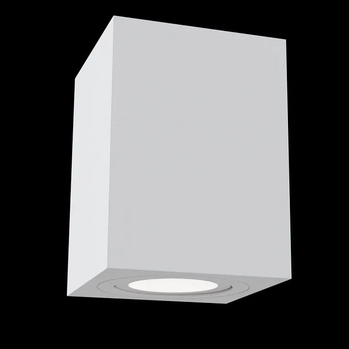 Накладной светильник Maytoni Technical Атом C017CL-01W