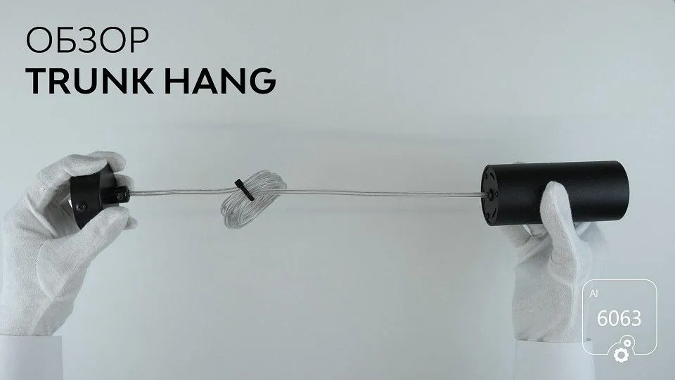 Подвесной светильник 6063 Trunk Hang 1130601