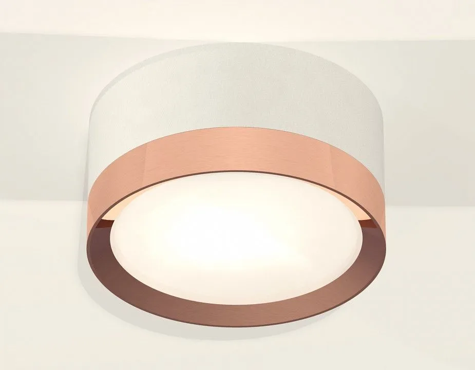 Накладной светильник Ambrella Light XS XS8101006