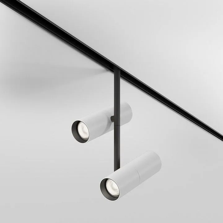 Светильник на штанге Maytoni Technical Элти дуэт TR005-4-2X12W-DS-BW