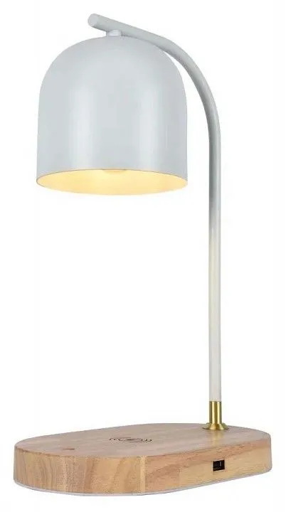 Настольная лампа офисная Zortes DESKLIGHT ZRS.1066.02
