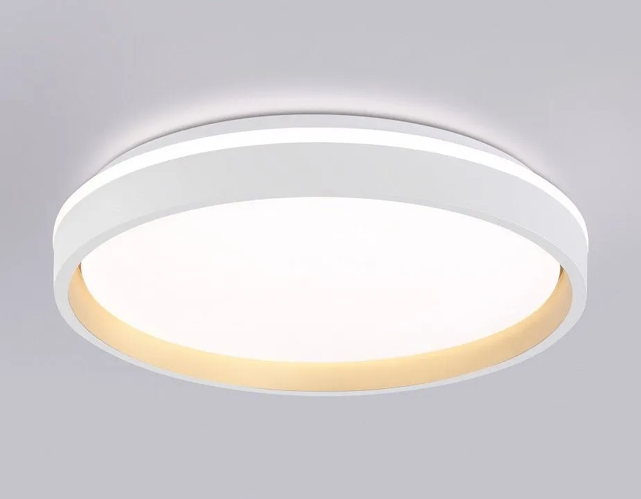 Накладной светильник Ambrella Light FZ FZ607