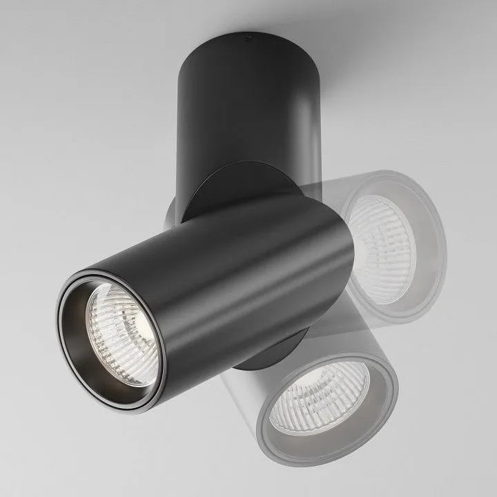 Светильник на штанге Maytoni Technical Дафна C027CL-L10B4K