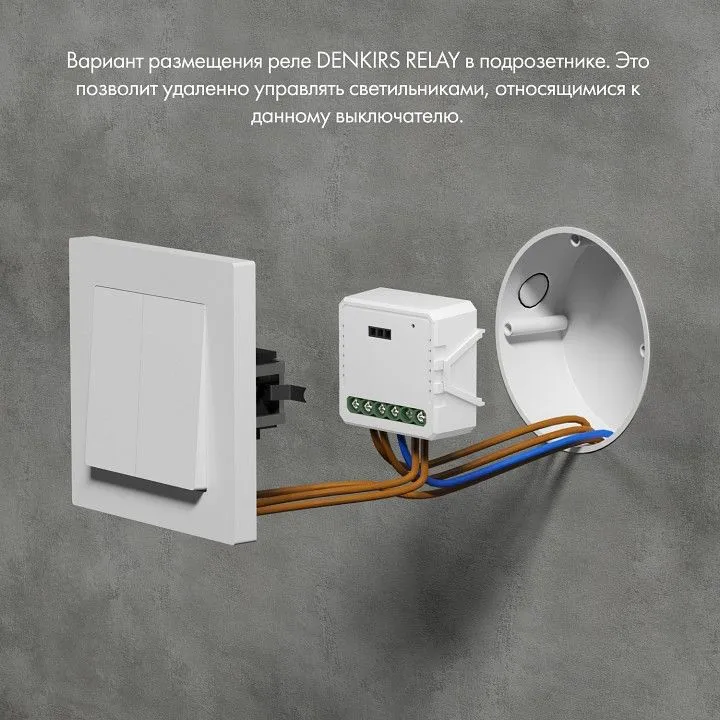 Конвертер Wi-Fi для смартфонов и планшетов Denkirs Relay RL1002-SM