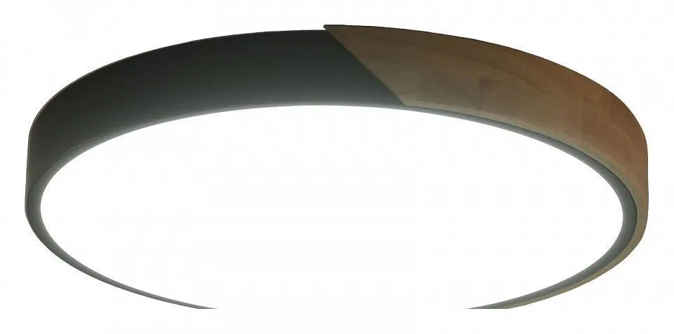 Накладной светильник Zortes Alberro ZRS.01280.90